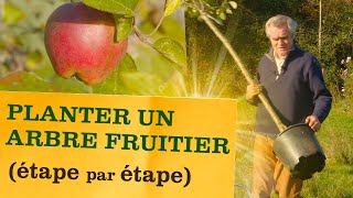 Comment planter un arbre fruitier  Les étapes pour ne pas se planter  trou taille soins [upl. by Eillas677]