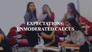 MSMUN18 EXPECTATIONS VS REALITY OF A MODEL UN [upl. by Upali494]