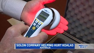 Fox 8 News Cleveland Multi Radiance Laser Therapy Helping Hurt Koalas [upl. by Wash]