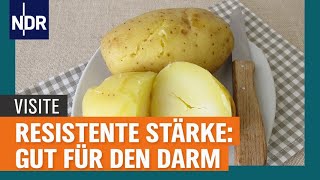 Resistente Stärke Gut für den Darm und gegen Entzündungen  Visite  NDR [upl. by Marder]