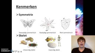 Ordening  Het rijk van de dieren [upl. by Dahsar]