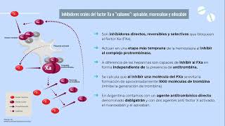 HEMOSTASIA DOACs Galeano Stefani R1 [upl. by Sami]