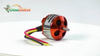 MYSTERY A220814 1450KV Outrunner Brushless Motor for RC Helicopter from Dinodirectcom [upl. by Brothers]