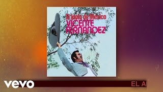 Vicente Fernández  El Arracadas Cover Audio [upl. by Gareri]