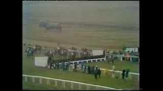 1979 Piper Champagne Cheltenham Gold Cup Chase [upl. by Miller]