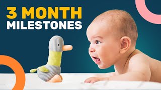 MONTESSORI AT HOME Activities for Babies 69 Months [upl. by Enida]