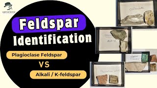 Feldspar  Plagioclase vs Alkali  kfeldspar Mineralogy in hand specimen amp thin section [upl. by Kimon]