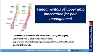 Fundamentals of Upper Limb Innervation for Pain Management [upl. by Atik]