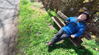 A walk through Coombs Wood at Armathwaite Cumbria [upl. by Nanni]