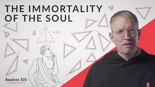 Philosophy Shows You Have an Immortal Soul Aquinas 101 [upl. by Kelwin669]