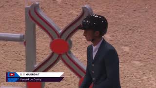 FEI World Cup Verona  Steve Guerdat amp Venard de Cerisy [upl. by Eisen]