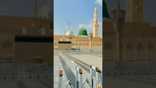 Phool Khilte Hain Parh Parh Ke 💥💫❤ islamicshortvideo madina viral [upl. by Portie]