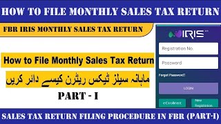 How to File Monthly Sales Tax Return in Pakistan 2024 PartI I Sales Tax Return Filing Process [upl. by Ruhtracam]