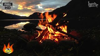 Lakeside Campfire with Relaxing Nature Night Sounds HD [upl. by Colligan]