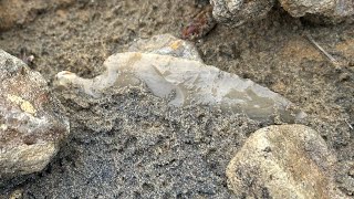 Arrowhead hunting the Ohio River in December [upl. by Mastic263]