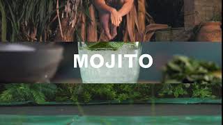 Bacardi Do what moves you Mojito [upl. by Stutsman]