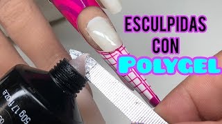 Cómo hacer uñas ESCULPIDAS CON POLYGEL [upl. by Fraze]