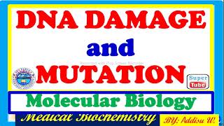 DNA Damage and Gene Mutation pointmutation dnareplication newcurriculum nucleicacids [upl. by Ydniw]