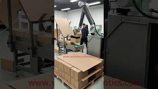 Cobot Palletizer with Slip Sheet Functionality [upl. by Otero]