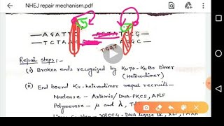 Non Homologous End Joining Repair Mechanism [upl. by Ayihsa]