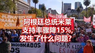 阿根廷总统米莱 支持率骤降15 发生了什么问题？ [upl. by Naux]