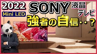 【SONY 液晶テレビ 2022】Mini LED祭り参戦！ でも、どう戦うの？【BRAVIA】 [upl. by Nivla]