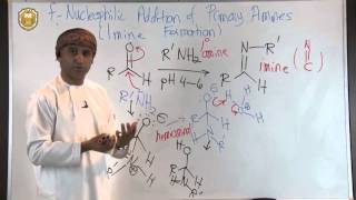 Nucleophilic Addition Reactions Imine Formation [upl. by Peri]