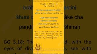 Bhagavad Gita Shloka A Day  Divine Prayers bhagavadgita sanskritchants song hinduscripture [upl. by Aire406]