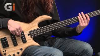 Guitar Interactive Elrick Expat eVolution 4String Fretless Bass Review [upl. by Spring]