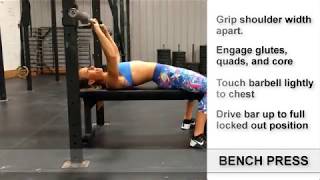 TTSL Daily Movement  How To Bench Press [upl. by Giwdul6]