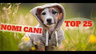 TOP 25 migliori nomi per cani maschio e femmina in ITALIANO 🐕Idee di nome di cane🐕 cane cani [upl. by Eatnod]