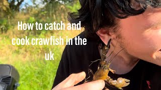 how to catch and cook crayfish uk [upl. by Imefulo]