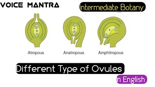 Different Type of ovules Biology  in English [upl. by Clarette]