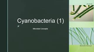 Cyanobacteria 1  Blue Green Algae Cell structure  Examples  Reproduction [upl. by Adner553]