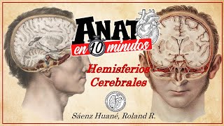 Hemisferios Cerebrales ANATO EN 10 MINUTOS [upl. by Thackeray]