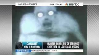 Unknown Creature Caught On Camera In Louisiana [upl. by Cinemod]