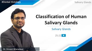 Dental Histology  Salivary Glands  Classification of Human Salivary Glands [upl. by Sisco442]