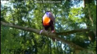 In the Night Garden  Toucan Song 2007 but with the 20092013 iPlayer DOG [upl. by Laurene403]