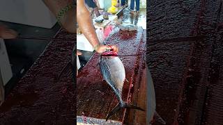 Unbelievable tun fish cutting skill 😱 fastest cutting skill [upl. by Arelc699]