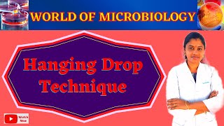 Hanging Drop Technique Tamil Bacterial Motility Test  Identification of Bacteria [upl. by Godewyn]