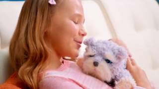 Little Live Pets Snuggles amp Ruffles 30s TVC [upl. by Mckay]