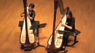 Bernard Andres  Parvis Atlantic Harp Duo [upl. by Siuqaj807]