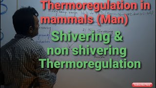 Thermoregulation in Mammals man  shivering and non shivering lecture in URDUHINDI CH1 XII [upl. by Lavern877]