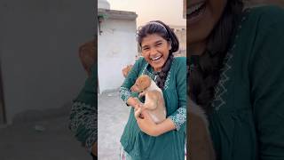 Chote puppy ka ilaj 😨 vlog 176 minivloging tranding ashortaday [upl. by Hawthorn]