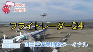 フライトレーダー24羽田空港【羽田空港】フライトレーダー24を使って羽田空港でフライトウオッチ [upl. by Enirehtacyram]