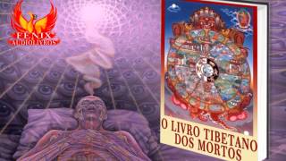 AUDIOLIVRO  O LIVRO TIBETANO DOS MORTOS [upl. by Granny]