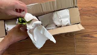 Nepenthes Unboxing From LynnsPlants [upl. by Moreno]