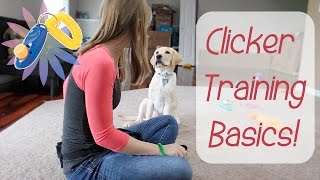 Clicker Training Basics  Teach Your Dog To HighFive [upl. by Asek]