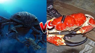 Pterygotus vs Tasmanian Giant Crab [upl. by Hbaruas]