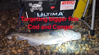 Targeting Bigger fish on Chesil Cod and Conger shorefishing fishing codfishing beach [upl. by Nigel]